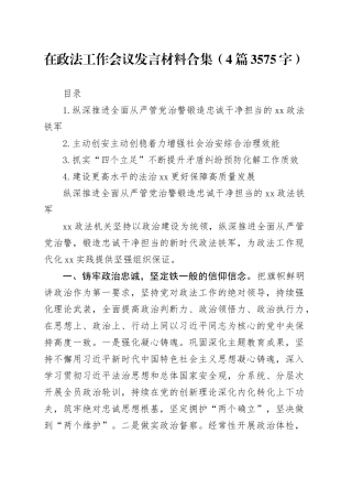 在政法工作会议发言材料合集4篇