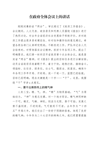 在政府全体会议上的讲话-2