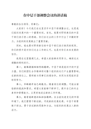 在中层干部调整会议的讲话稿