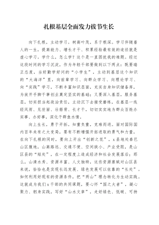 扎根基层全面发力拔节生长