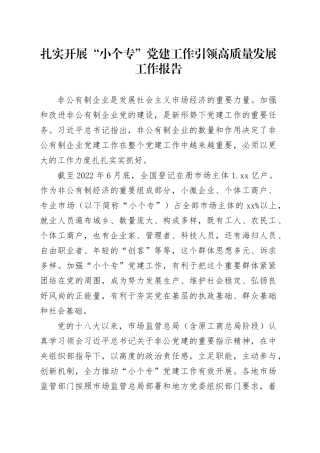 扎实开展“小个专”党建工作引领高质量发展工作报告