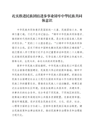 扎实推进民族团结进步事业 铸牢中华民族共同体意识