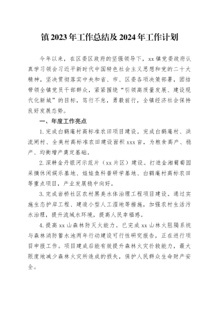 镇2023年工作总结及2024年工作计划 （20240125）