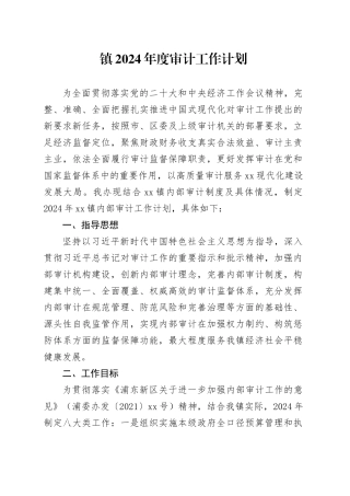 镇2024年度审计工作计划
