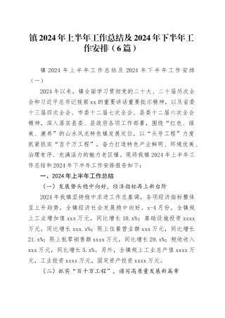 镇2024年上半年工作总结及2024年下半年工作安排（6篇）