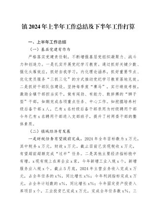 镇2024年上半年工作总结及下半年工作打算