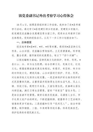 镇党委副书记外出考察学习心得体会