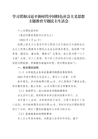 镇党委副书记学习贯彻主题教育专题民主生活会个人对照检查材料