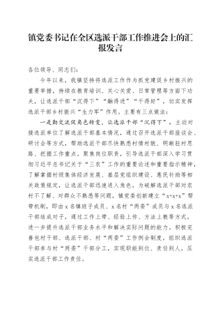 镇党委书记在全区选派干部工作推进会上的汇报发言
