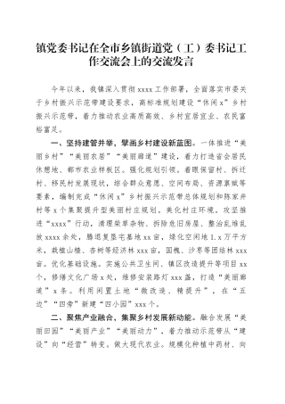 镇党委书记在全市乡镇街道党（工）委书记工作交流会上的交流发言