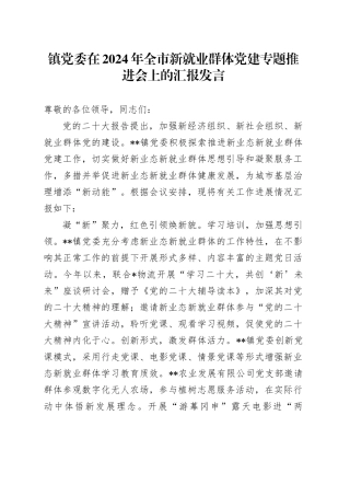 镇党委在2024年全市新就业群体党建专题推进会上的汇报发言