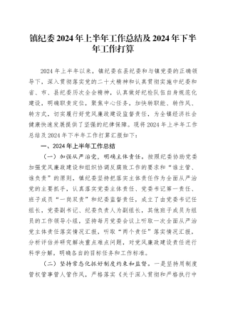 镇纪委2024年上半年工作总结及2024年下半年工作打算