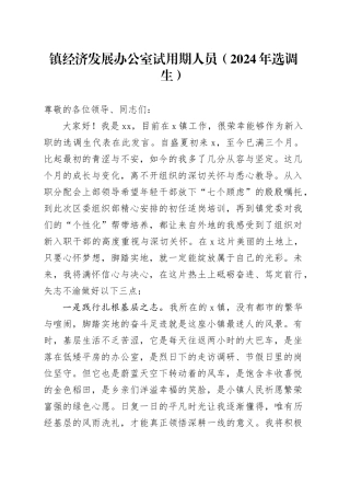 镇经济发展办公室试用期人员（2024年选调生）