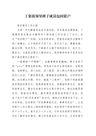 镇领导班子成员包村联户落实情况工作汇报