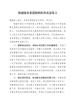 镇迎接市委巡察组检查表态发言