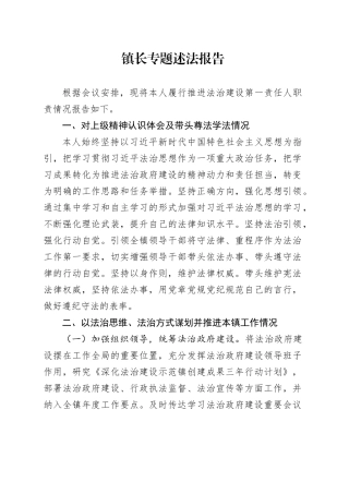 镇长专题述法报告