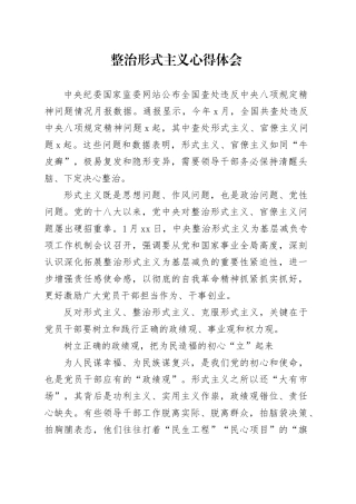 整治形式主义心得体会