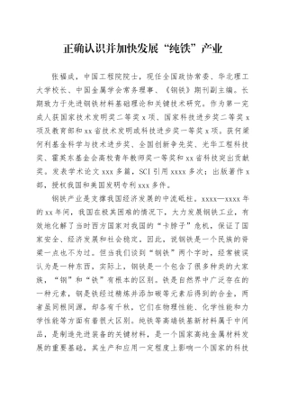 正确认识并加快发展“纯铁”产业