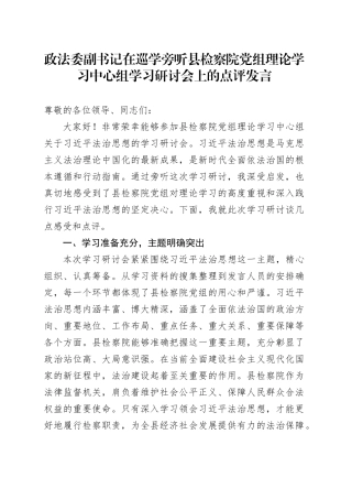政法委副书记在巡学旁听县检察院党组理论学习中心组学习研讨会上的点评发言