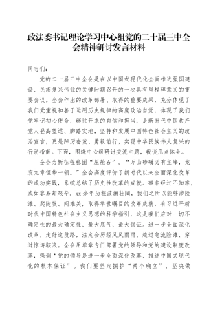 政法委书记理论学习中心组党的二十届三中全会精神研讨发言材料心得体会20240927