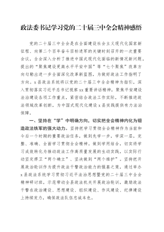 政法委书记学习三中全会精神心得体会发言