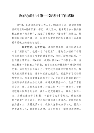 政府办派驻村第一书记驻村工作感悟（心得体会）