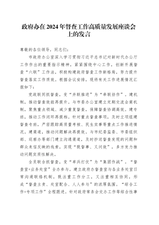 政府办在2024年督查工作高质量发展座谈会上的发言