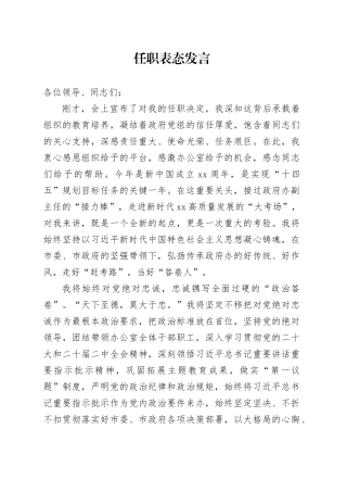 政府办主任任职表态发言稿