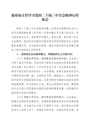 政府办主任学习党的二十届三中全会精神心得体会