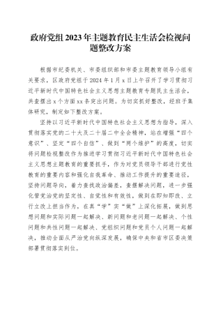 政府党组2023年主题教育民主生活会检视问题整改方案
