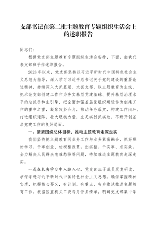 支部书记在第二批主题教育专题组织生活会上的述职报告