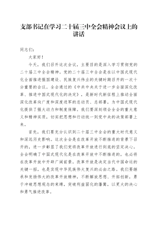 支部书记在学习二十届三中全会精神会议上的讲话