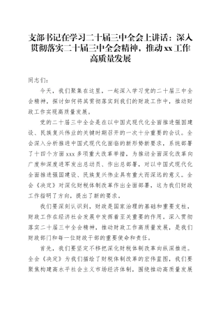 支部书记在学习二十届三中全会上讲话：深入贯彻落实二十届三中全会精神，推动xx工作高质量发展