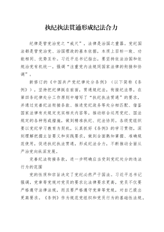 执纪执法贯通 形成纪法合力