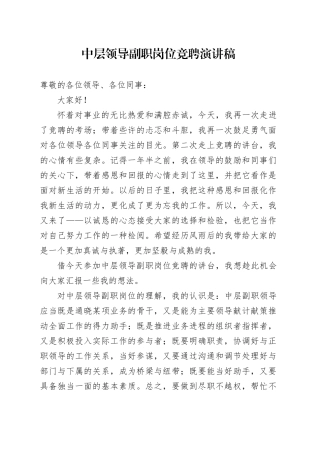 中层领导副职岗位竞聘演讲稿