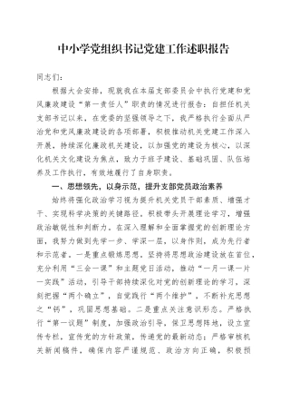 中小学党组织书记党建工作述职报告