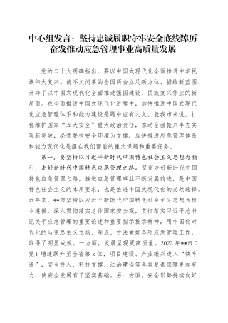 中心组发言：坚持忠诚履职 守牢安全底线 踔厉奋发推动应急管理事业高质量发展