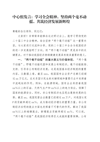 中心组发言：学习全会精神，坚持两个毫不动摇，共筑经济发展新辉煌