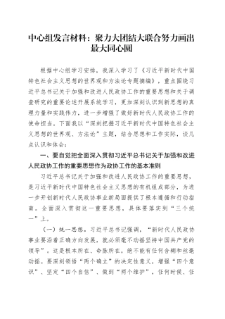中心组发言材料：聚力大团结大联合努力画出最大同心圆