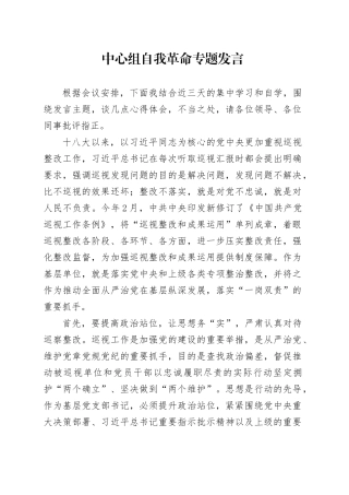 中心组自我革命专题发言