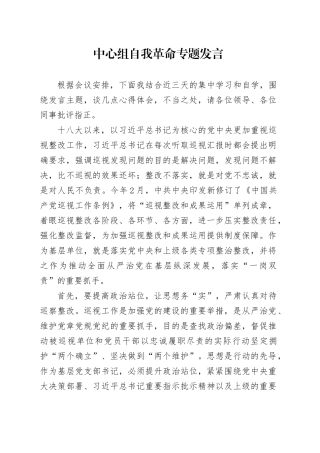 中心组自我革命专题发言2