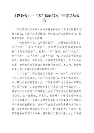 主题教育：一“乡”情愿写实“年度总结报告”