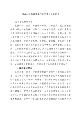 主题教育工作自查评估报告（二批次第理论学习、调查研究、推动发展、检视整改、干部队伍等汇报总结）20240218