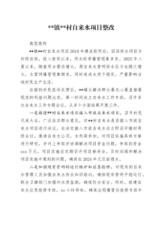 主题教育检视整改典型案例-某某村自来水项目