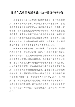 注重在高质量发展实践中培养淬炼年轻干部