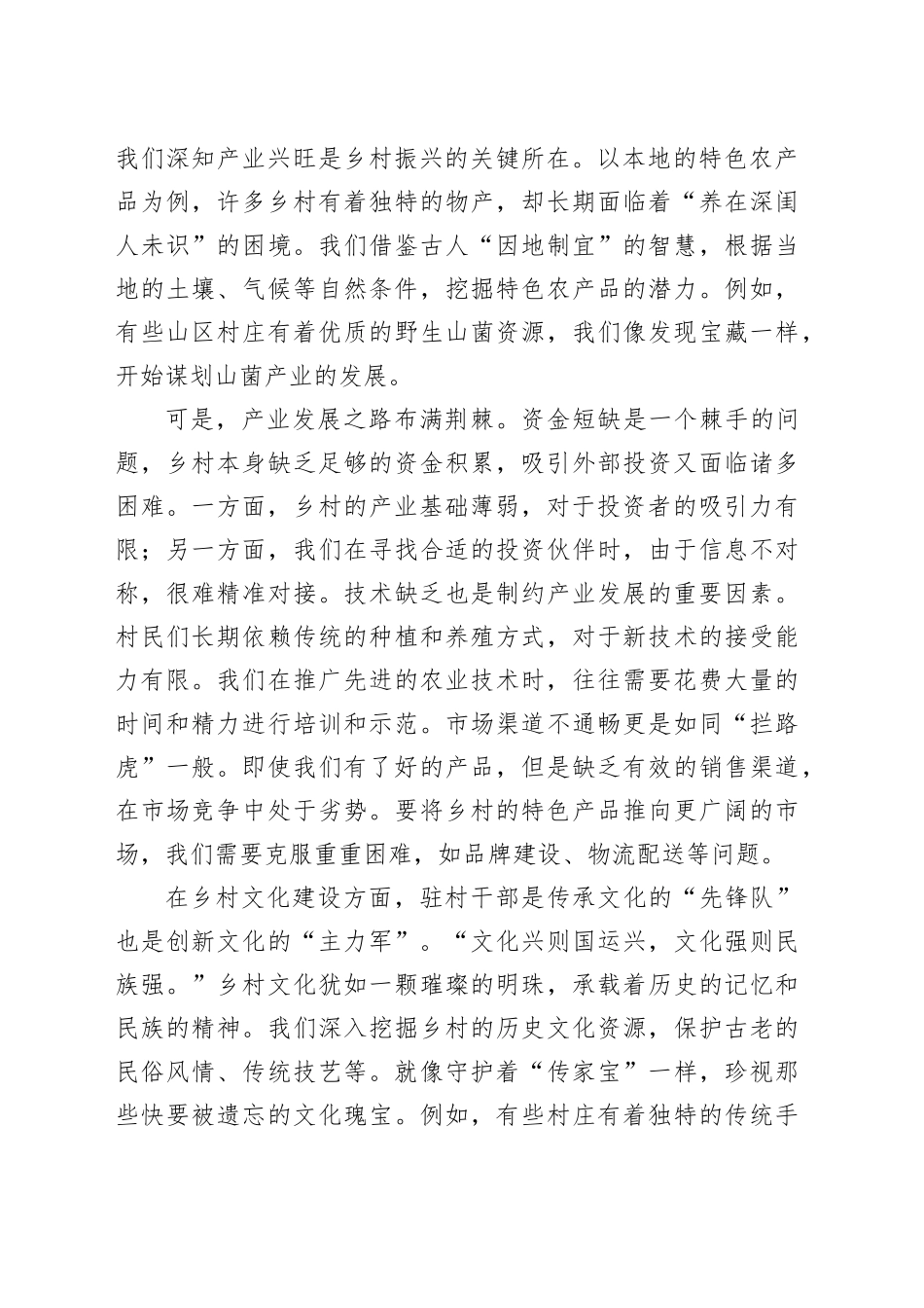 驻村干部代表发言：乡村振兴的 “先锋队” 与 “主力军”_第2页