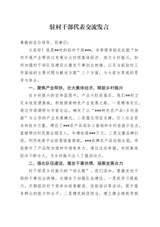 驻村干部代表交流发言