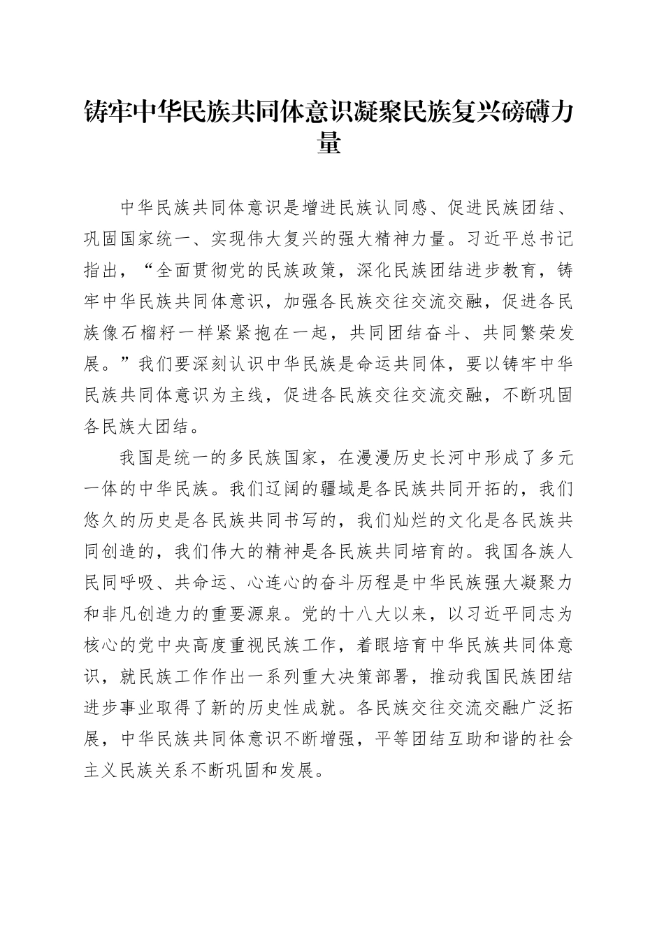 铸牢中华民族共同体意识 凝聚民族复兴磅礴力量_第1页