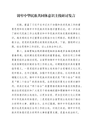铸牢中华民族共同体意识主线研讨发言