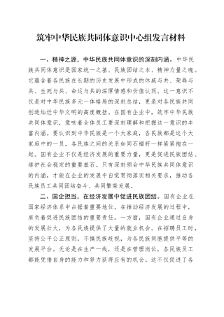 筑牢中华民族共同体意识中心组发言材料